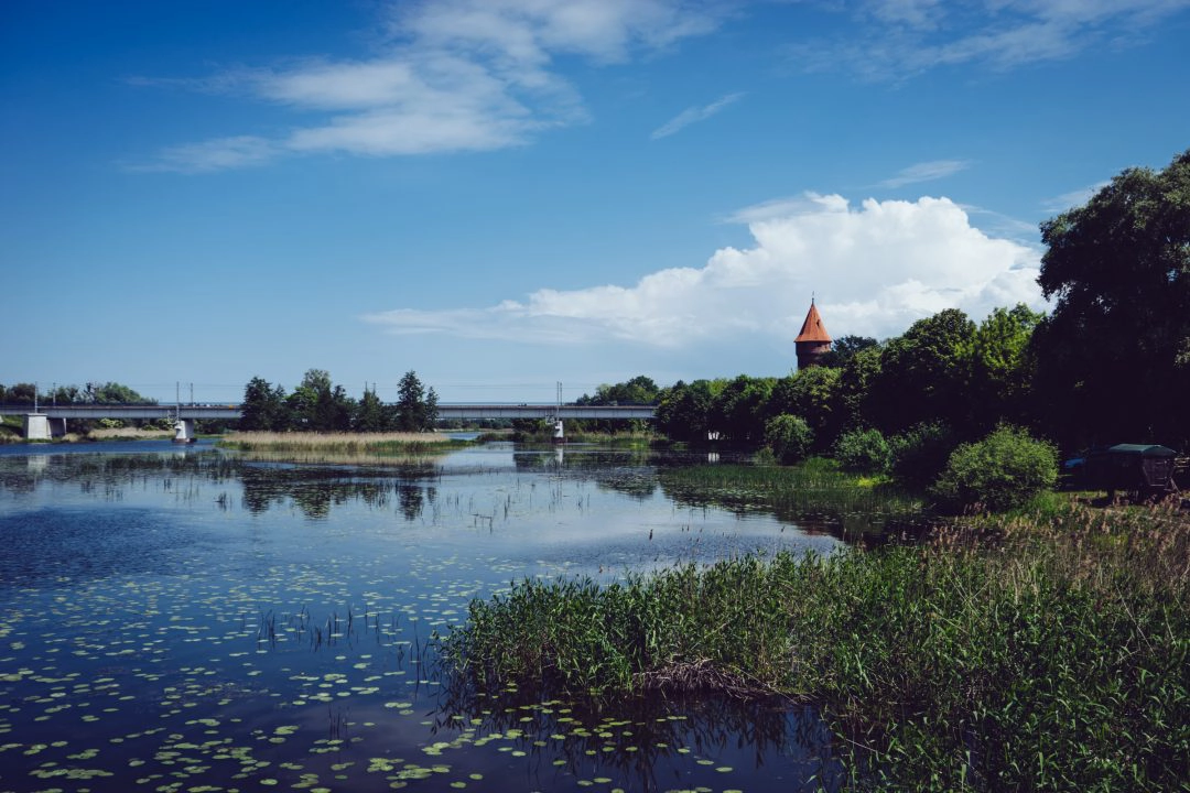 blog-image